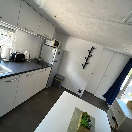 홀리데이파크 Dm Mobile 제제라