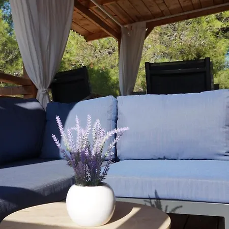 홀리데이파크 Dm Mobile